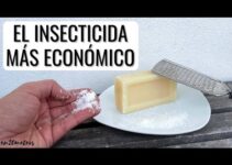 Descubre el jabón Chimbo de Mercadona: calidad y precio en uno solo