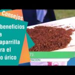 Zarzaparrilla Mercadona: Descubre los beneficios de esta planta en tu supermercado de confianza
