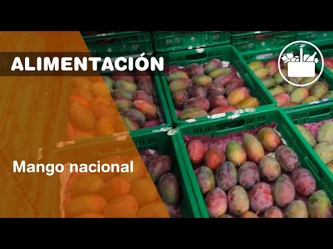 Guayaba en Mercadona: la fruta tropical que conquista tus sentidos