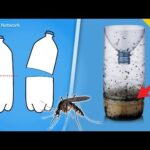 Tiras atrapamoscas Mercadona: la solución más eficiente para acabar con los insectos