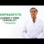 Harpagofito Mercadona: El mejor suplemento natural para aliviar el dolor