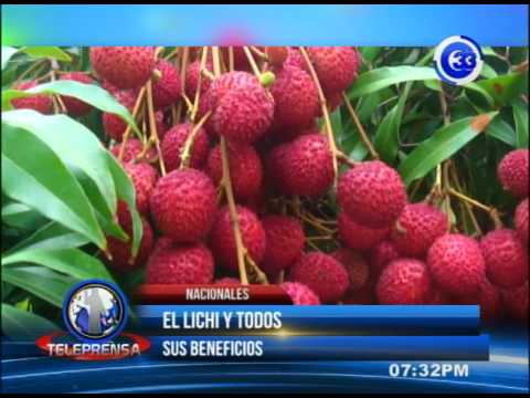 Lichis Mercadona: la mejor opción para disfrutar de esta exótica fruta