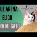 Descubre la mejor arena de gato en Lidl: calidad y precio garantizados