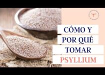 Psyllium Mercadona: Beneficios y usos del popular suplemento