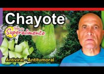 Chayote Mercadona: Descubre los beneficios y recetas de esta versátil verdura