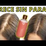 Champú de brea Mercadona: ¡Descubre el secreto para un cabello saludable!