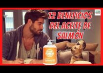El mejor aceite de salmón para perros Mercadona: beneficios y recomendaciones